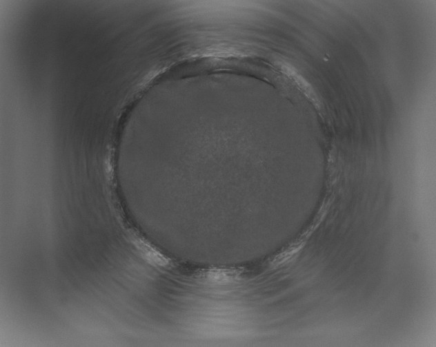 X0000074010305200609061056