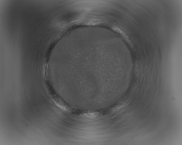 X0000074010307200609061056