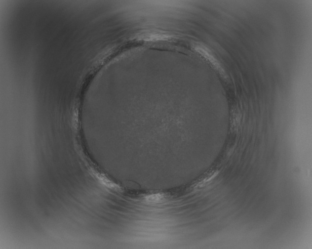 X0000074010309200609061056