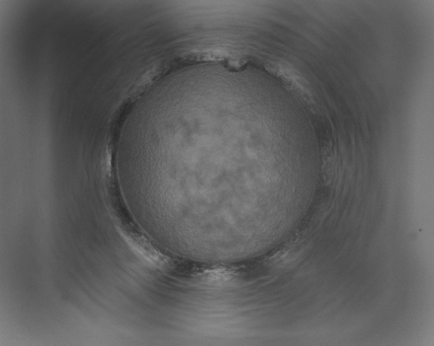 X0000074010310200609061056