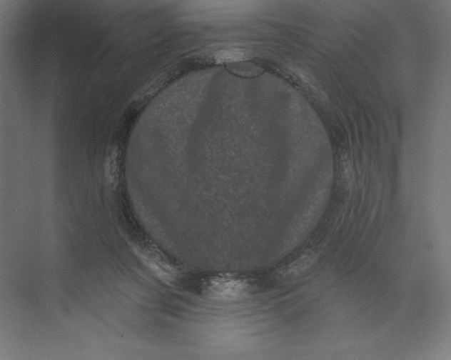 X0000074010311200609061056