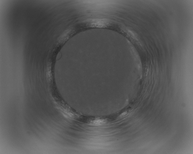 X0000074010312200609061056