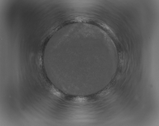 X0000074010313200609061056