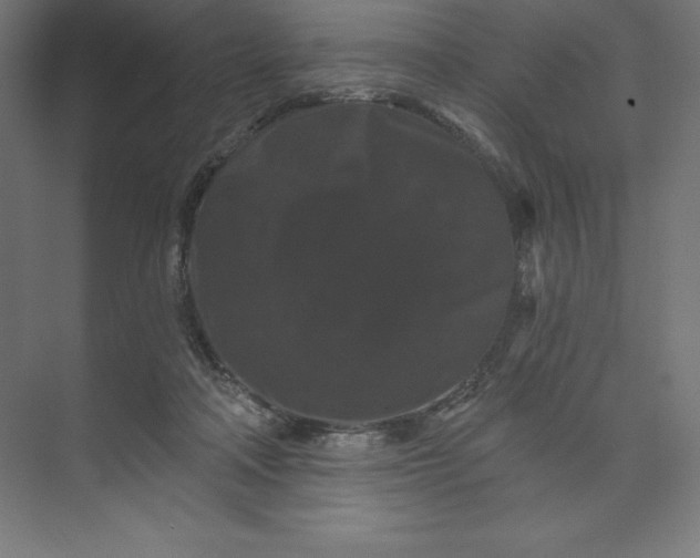 X0000074010314200609061056