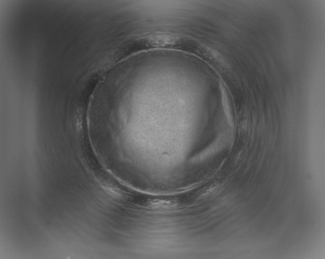 X0000074010315200609061056