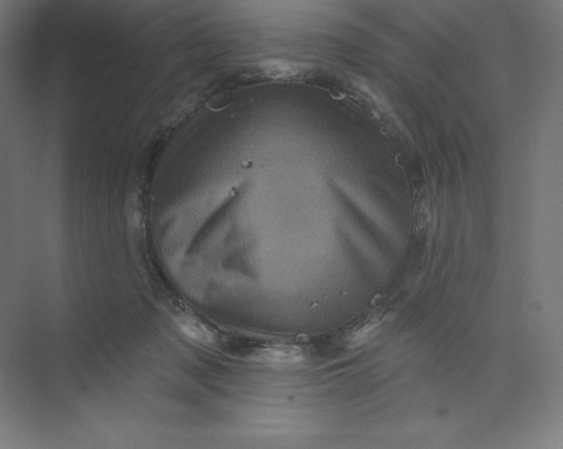 X0000074010317200609061056