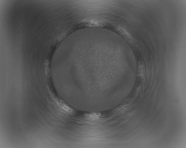 X0000074010318200609061056