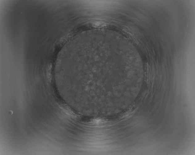 X0000074010319200609061056