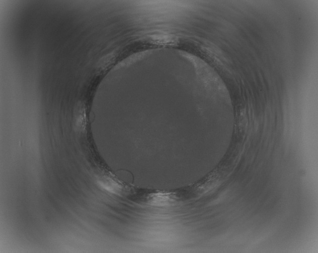 X0000074010320200609061056