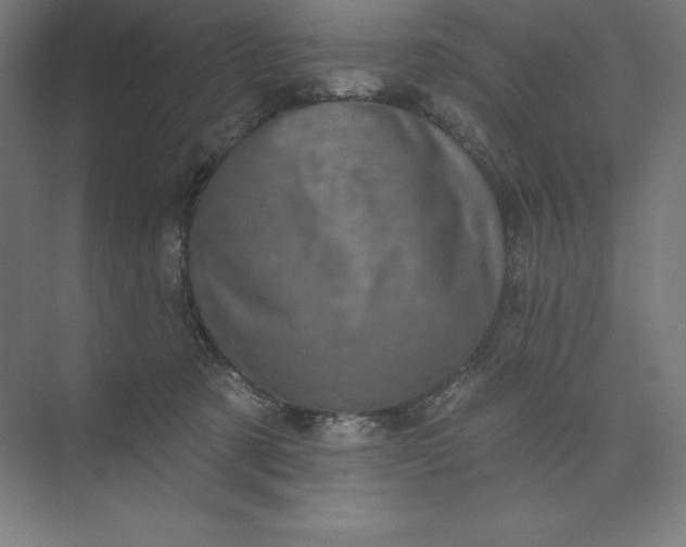 X0000074010321200609061056