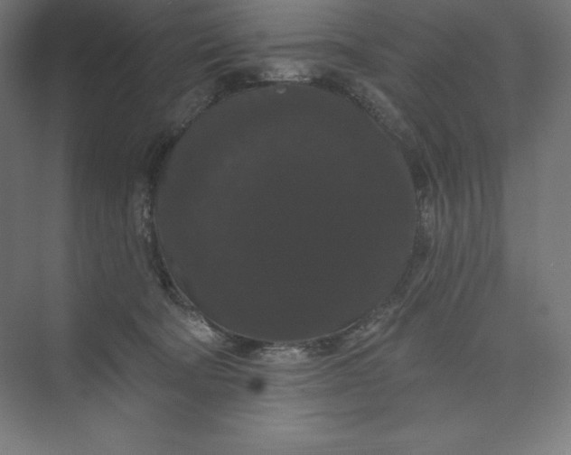 X0000074010322200609061056