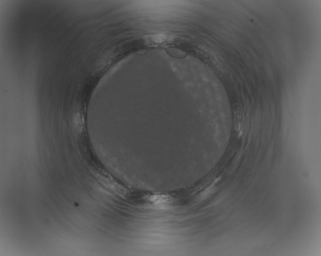 X0000074010324200609061056