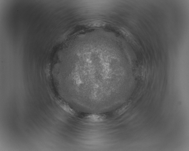 X0000074010326200609061056