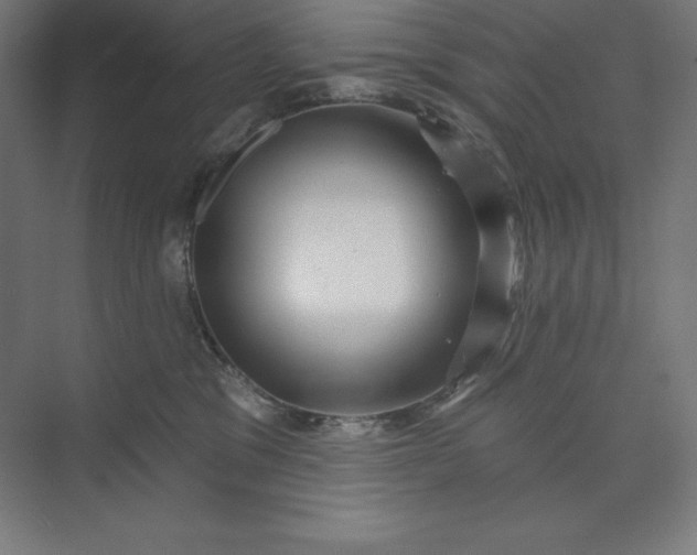 X0000074010329200609061056