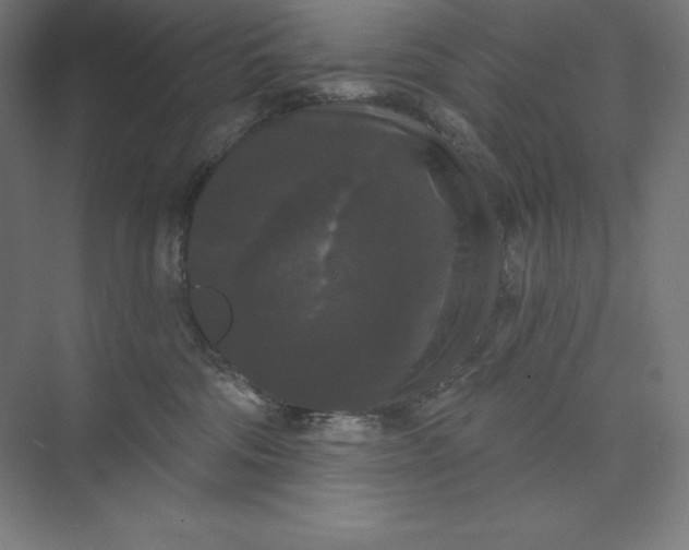 X0000074010330200609061056