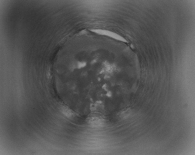 X0000074010331200609061056