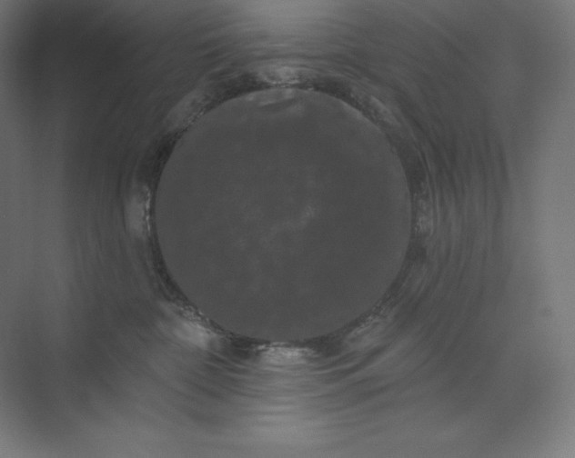 X0000074010332200609061056