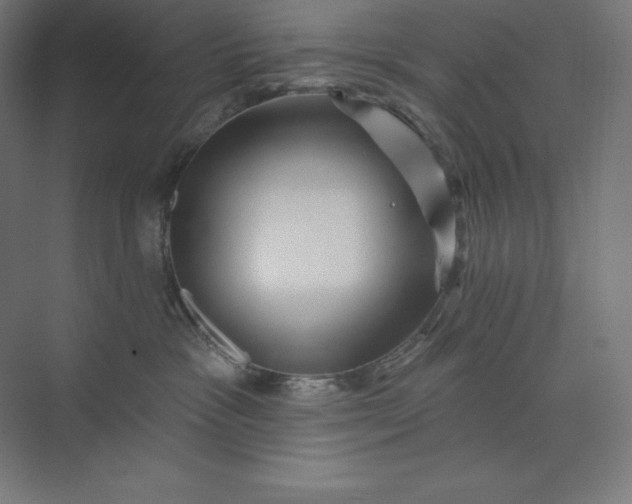 X0000074010333200609061056