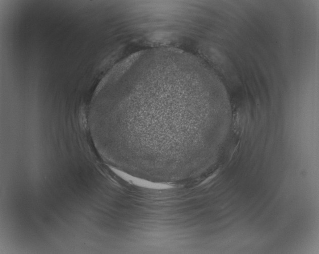 X0000074010335200609061056