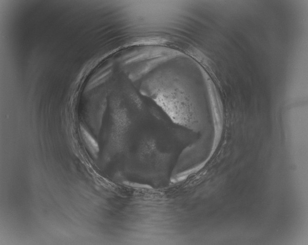 X0000074010337200609061055