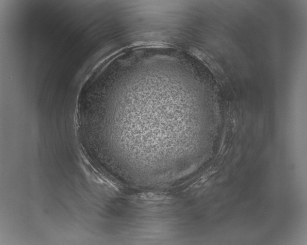 X0000074010338200609061055