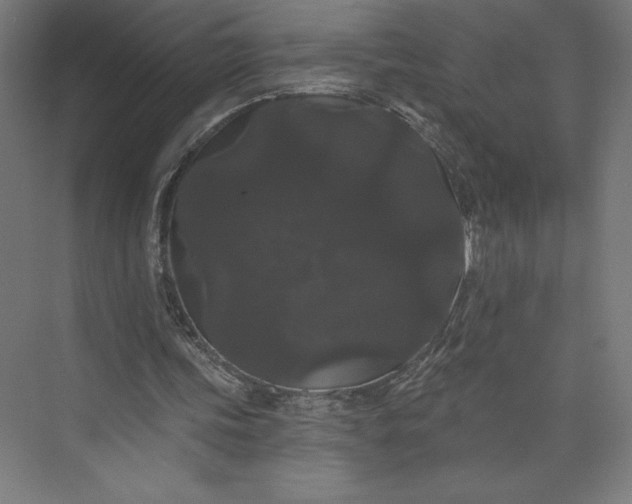 X0000074010339200609061055