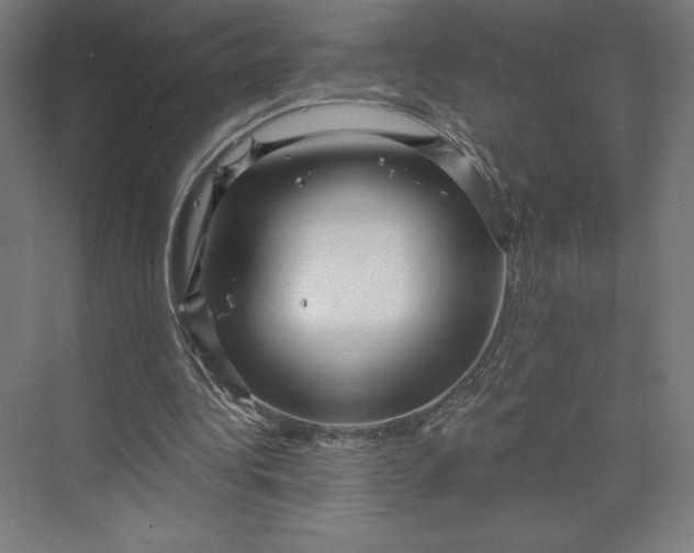 X0000074010340200609061055