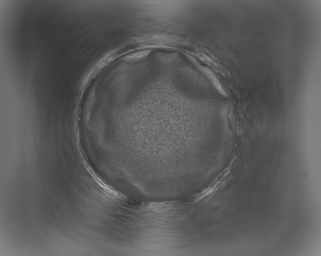 X0000074010341200609061055