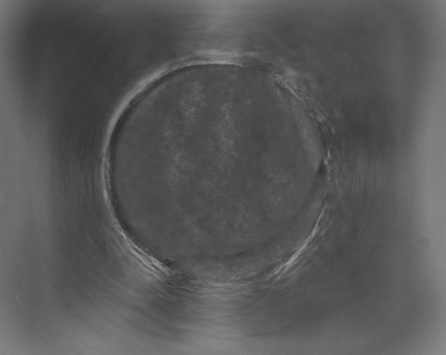 X0000074010342200609061055