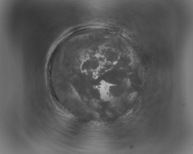 X0000074010343200609061055