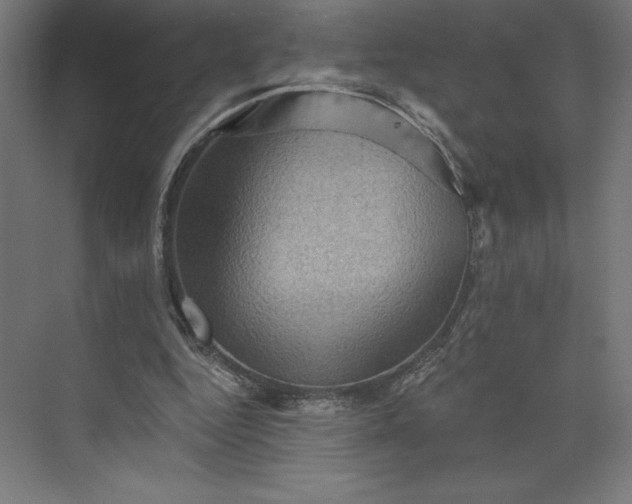 X0000074010344200609061055