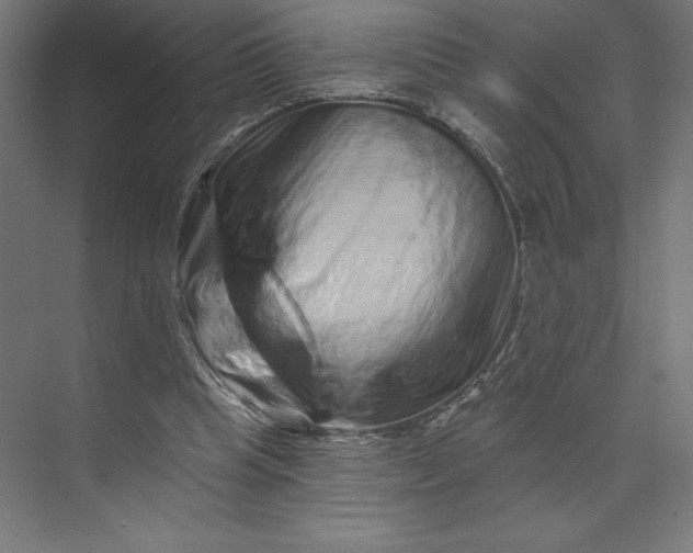 X0000074010345200609061055