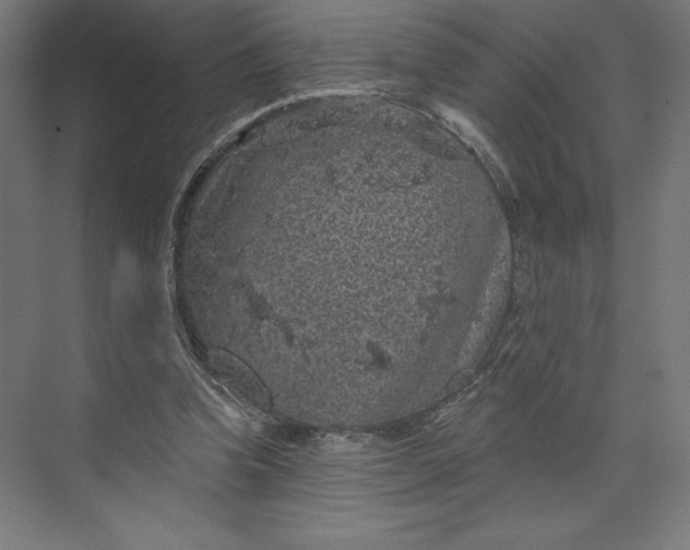 X0000074010346200609061055