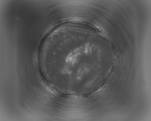 X0000074010347200609061055