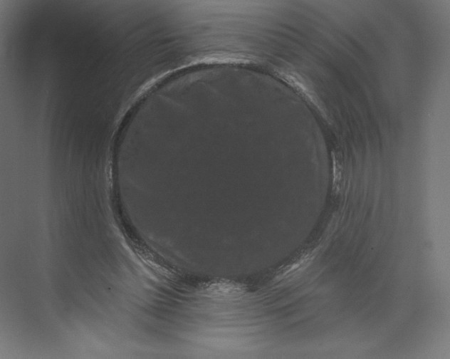 X0000074010348200609061055