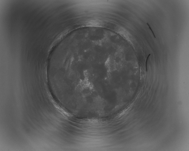 X0000074010349200609061055