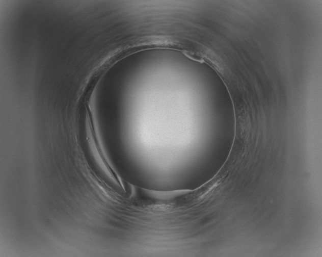 X0000074010350200609061055