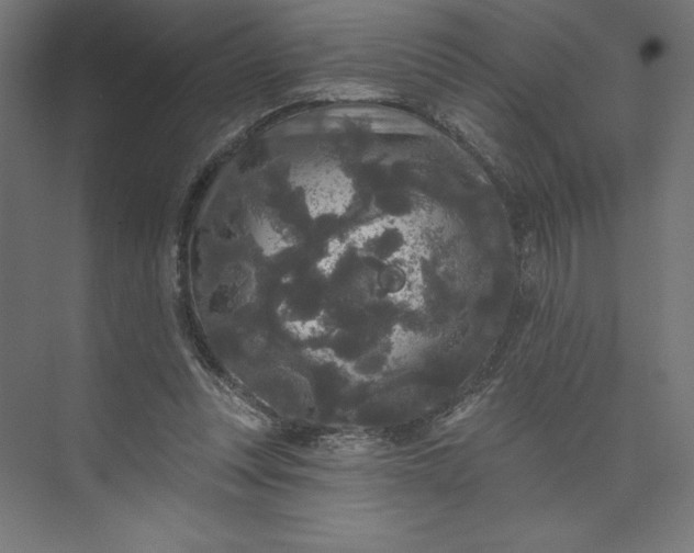 X0000074010351200609061055