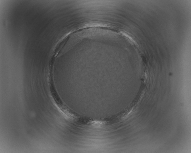 X0000074010352200609061055