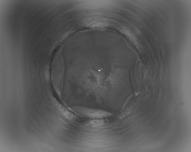 X0000074010353200609061055