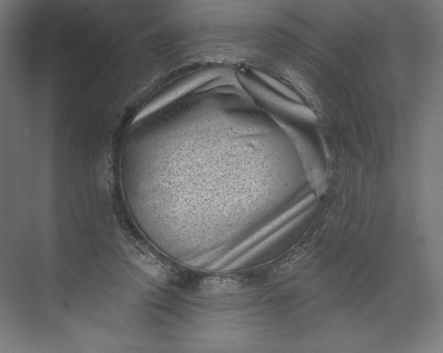 X0000074010354200609061055