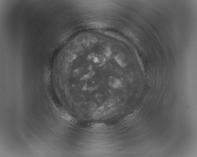 X0000074010355200609061055