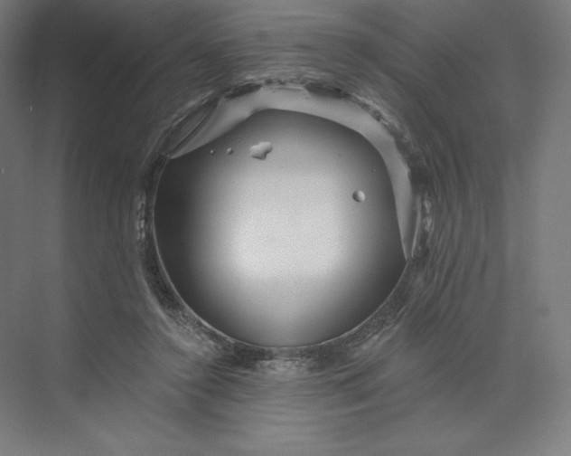 X0000074010356200609061055