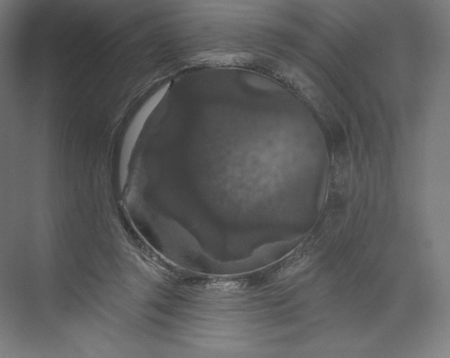 X0000074010357200609061055