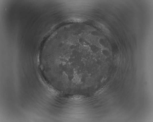 X0000074010358200609061055