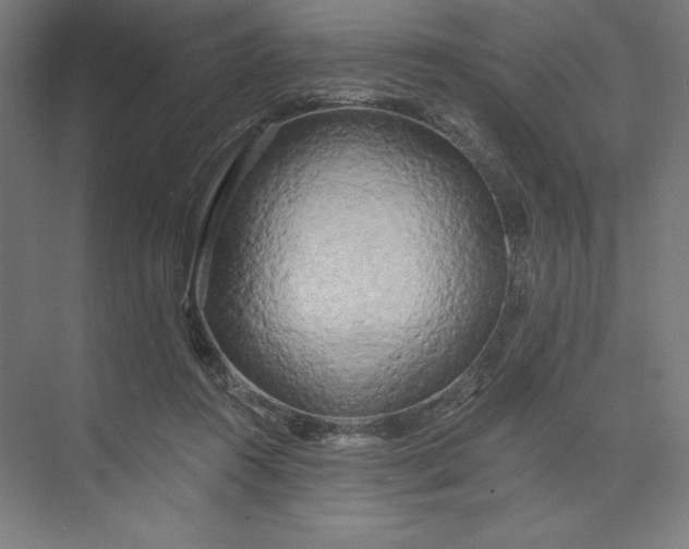 X0000074010360200609061055