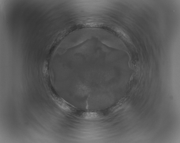 X0000074010361200609061055