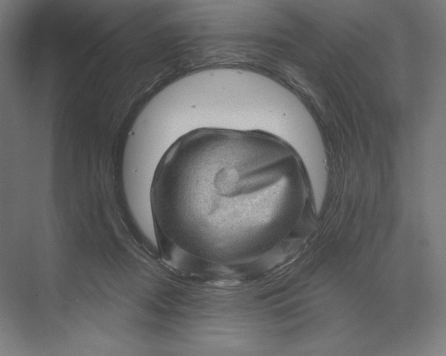 X0000074010362200609061055