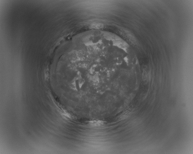 X0000074010363200609061055