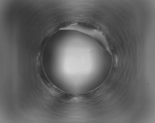 X0000074010364200609061055